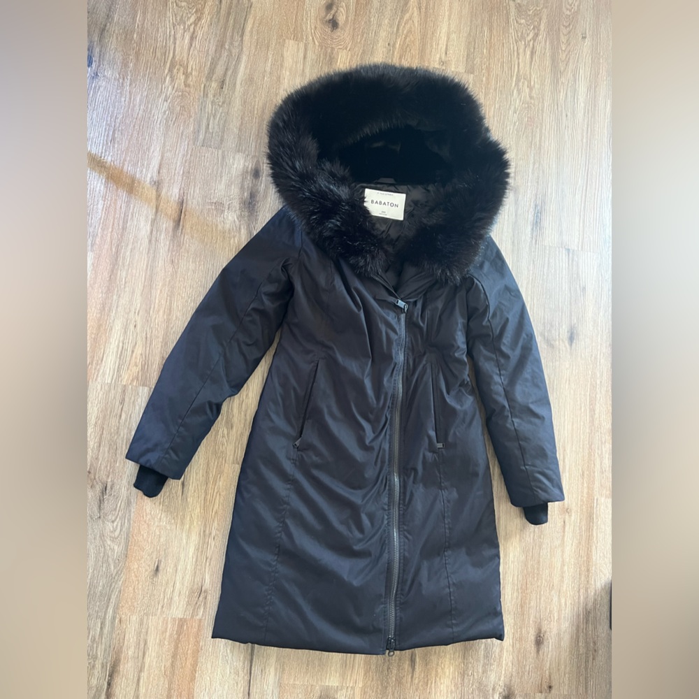 Aritzia Babaton St. Mortiz Parka